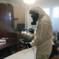 Дезинфекция от клопов в Грязях